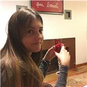 Cours d’anglais, mathématiques ou français pour tous niveaux jusqu’au lycée